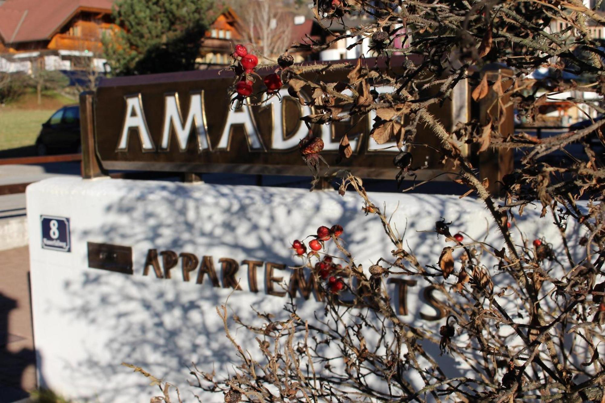 באד קליניקירשהיים Amadee Appartements מראה חיצוני תמונה
